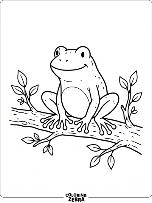 A black and white frog on a branch
