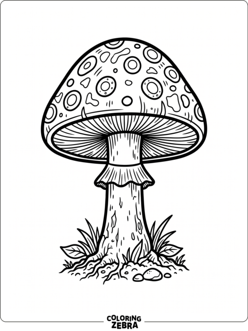A single mushroom with bold clean outlines