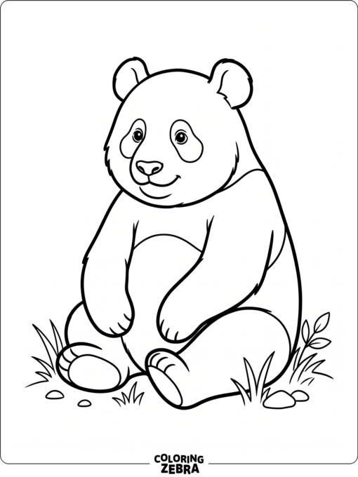 A panda sitting with clear black and white markings