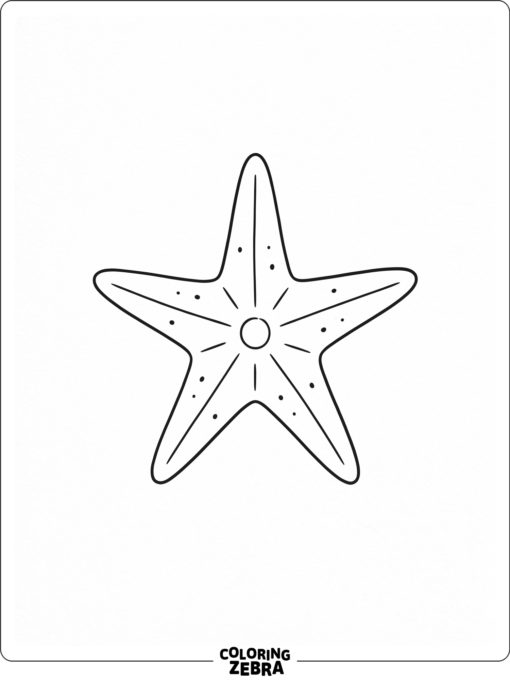 A black and white starfish sketch with simple lines