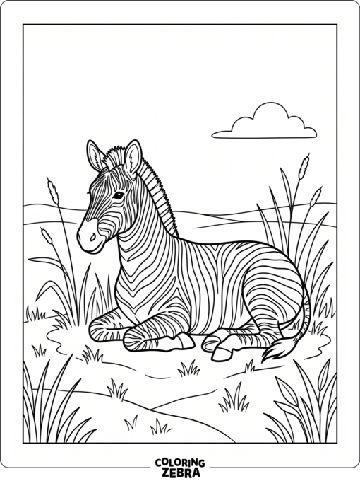A black and white zebra resting in grass