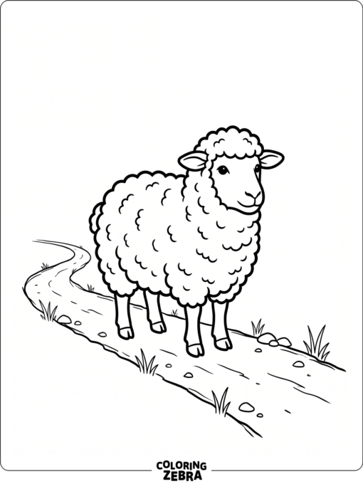 A black sheep standing on a farm path