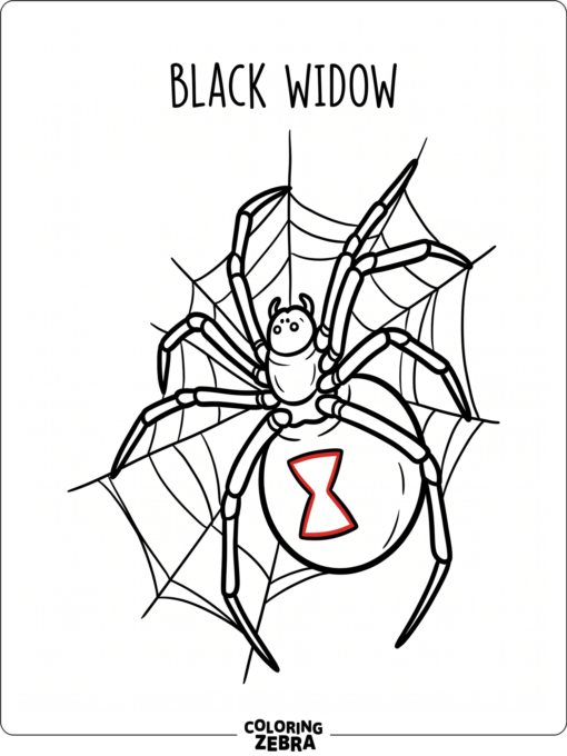 A black widow spider with a red hourglass mark