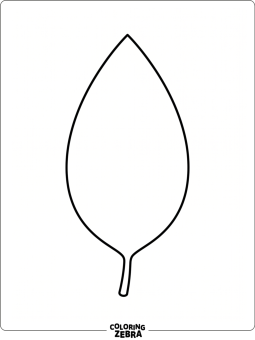 A blank leaf shape with a plain outline