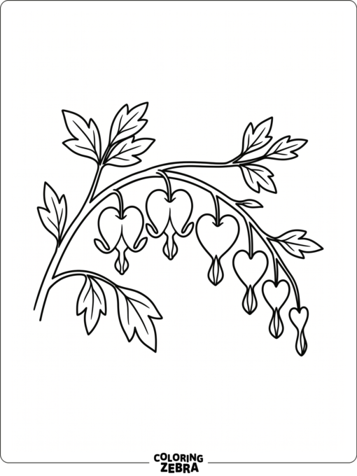 A bleeding heart flower stem with dangling heart-shaped blossoms