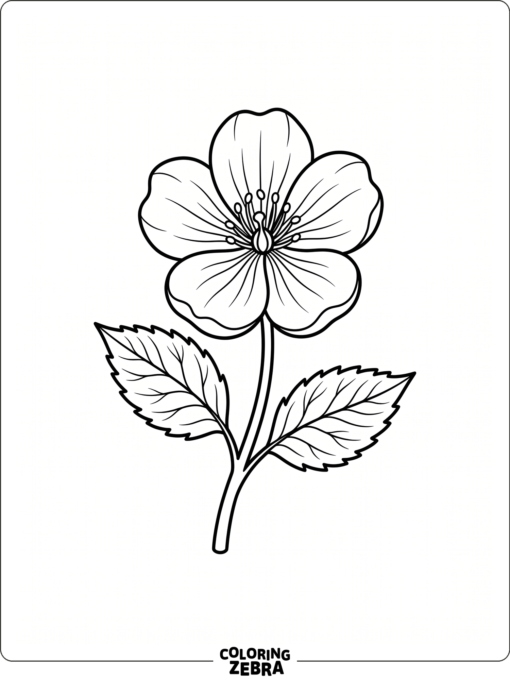 A single open blossom with a stem and two leaves