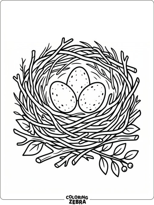 Three blue jay eggs in a nest