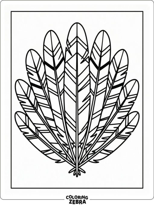 A fan of blue jay feathers