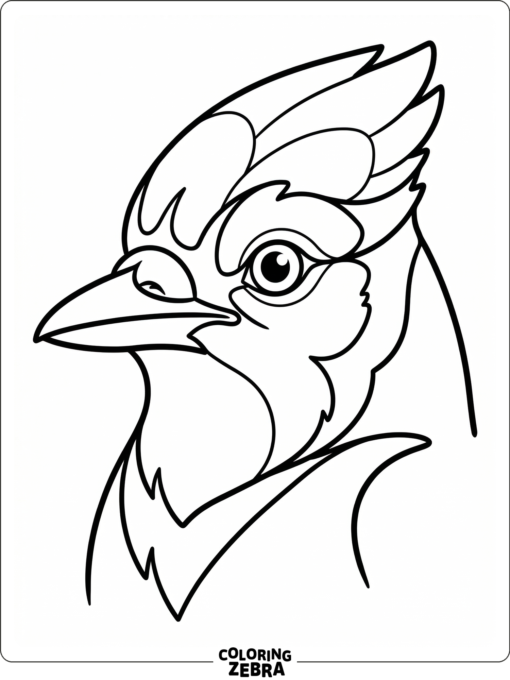 A close-up blue jay head with a crest