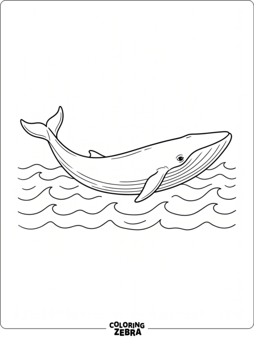 A blue whale with waves and open space