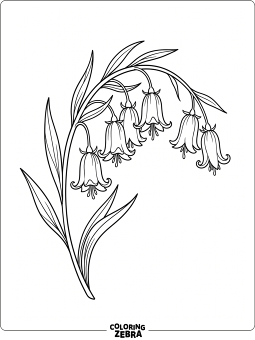 A cluster of bluebells hanging from a curved stem