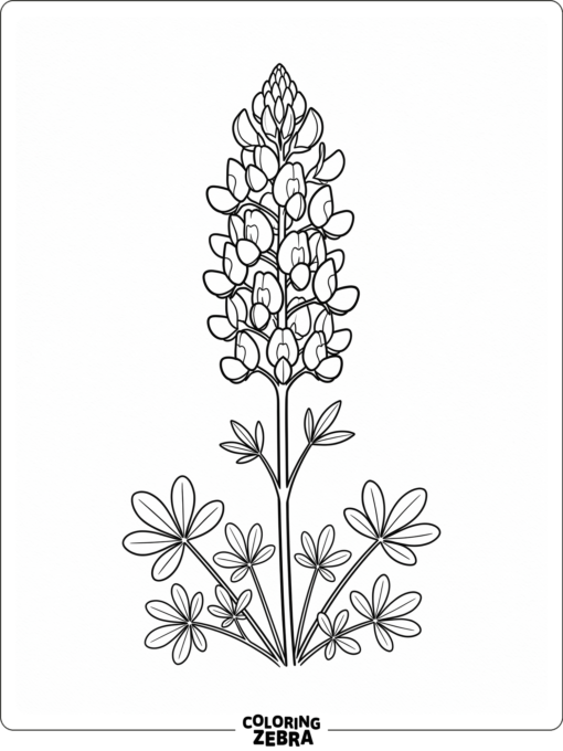 A bluebonnet flower cluster with tall stems and leaves