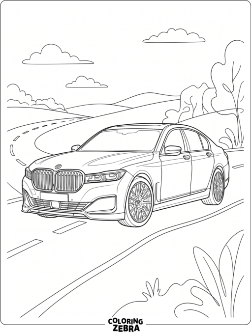 A luxury BMW car with elegant lines