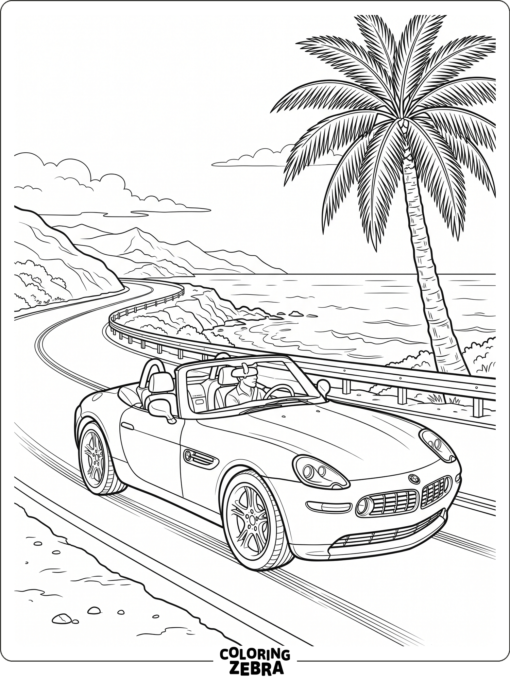 A BMW convertible with the top down