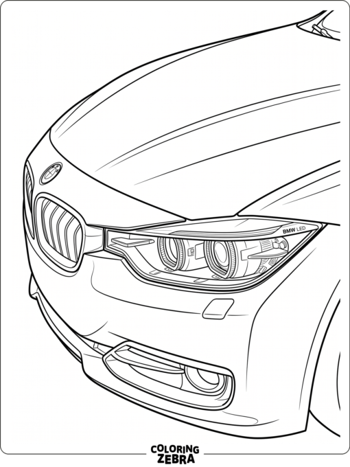 BMW headlights with curved hood lines