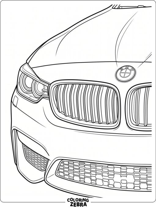 Close-up of a BMW kidney grille