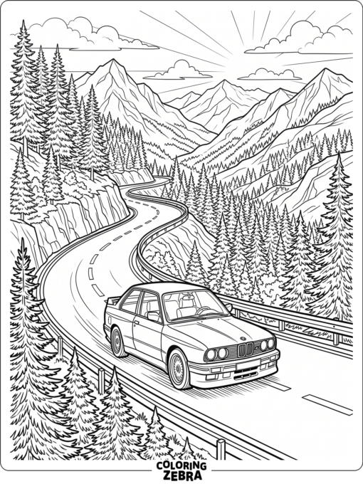 A BMW on a winding mountain road