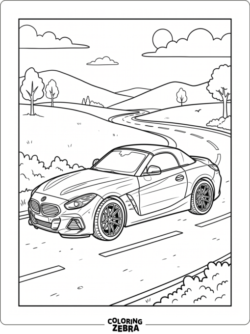 A BMW sports car with a low roofline