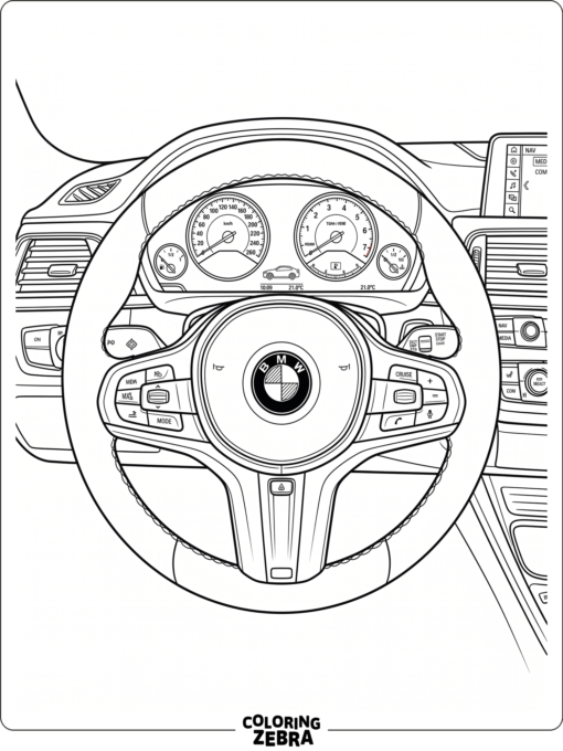 A BMW steering wheel with dashboard lines
