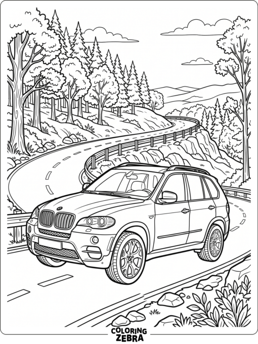 A BMW X5 SUV driving on a simple hill road