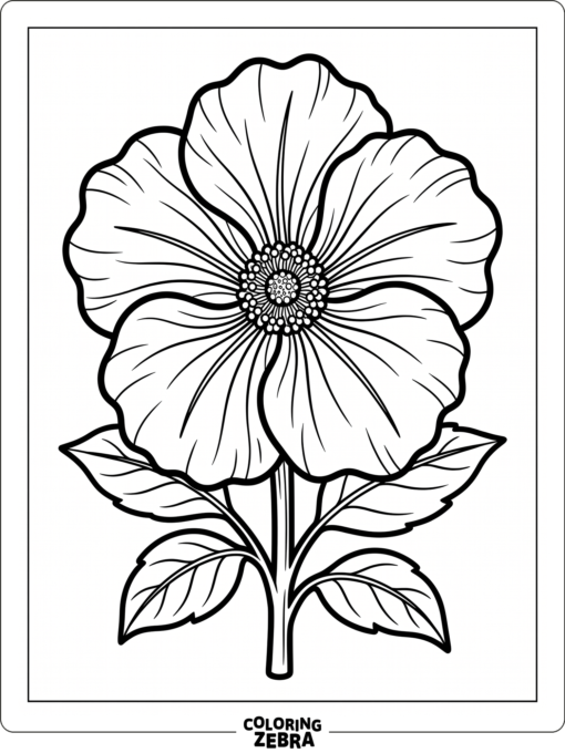 A large flower with thick outlines and broad petals