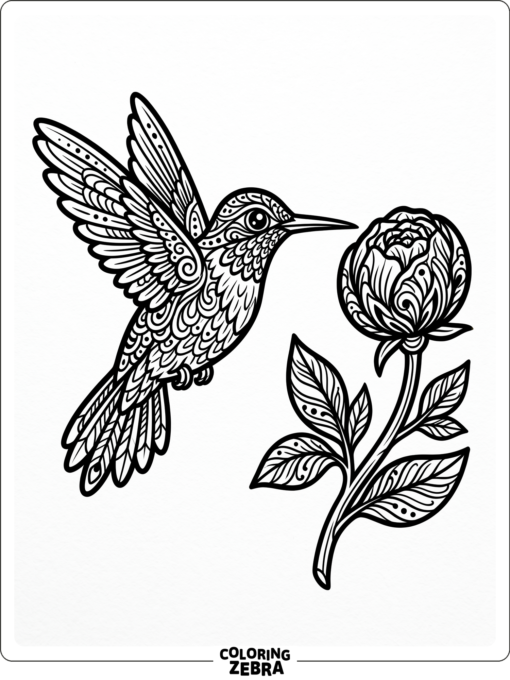 A hummingbird with bold outlines and a flower bud
