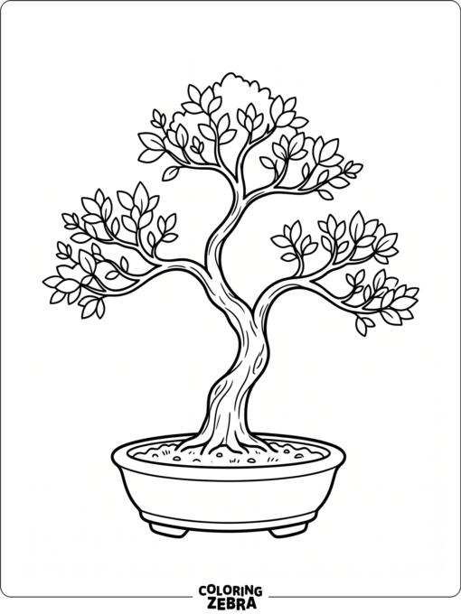A bonsai tree in a shallow pot with curved branches