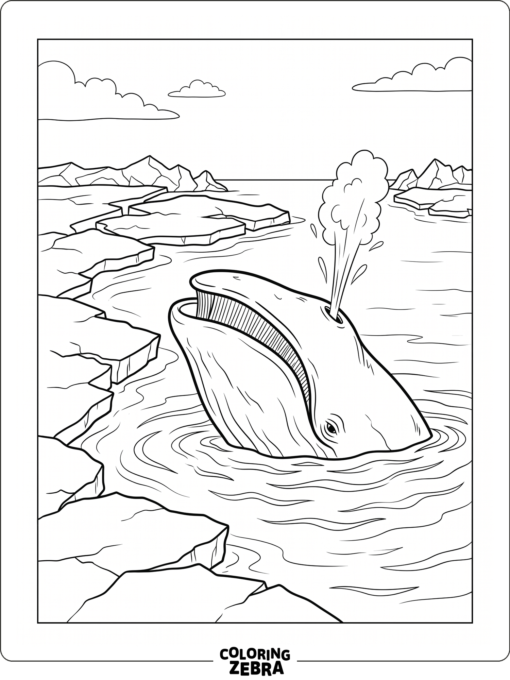A bowhead whale near ice in cold water