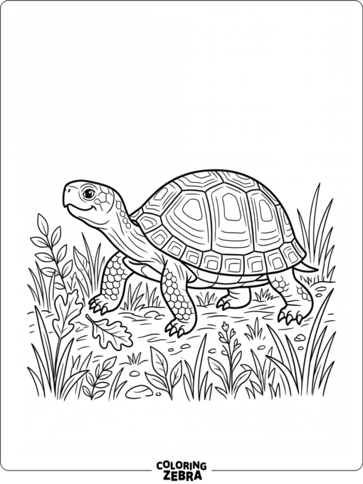 A box turtle walking through grass with a leaf