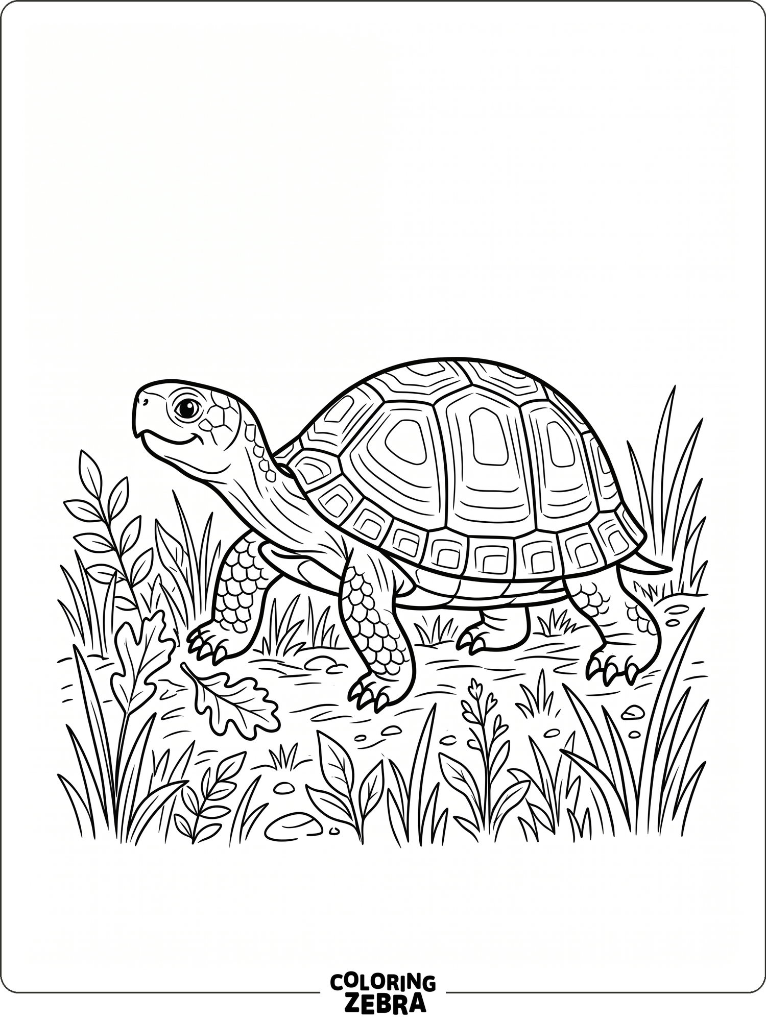 38 Free Turtle Coloring Pages - Printable PDF Sheets