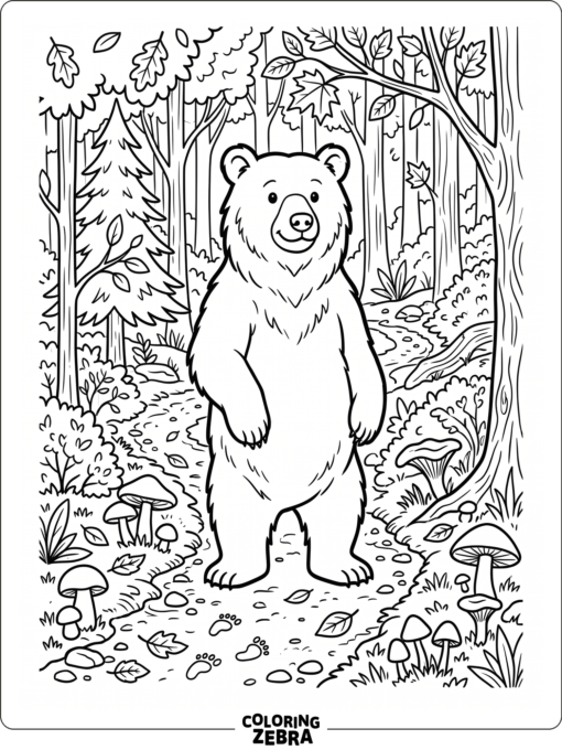 A brown bear stands on a forest path with mushrooms nearby