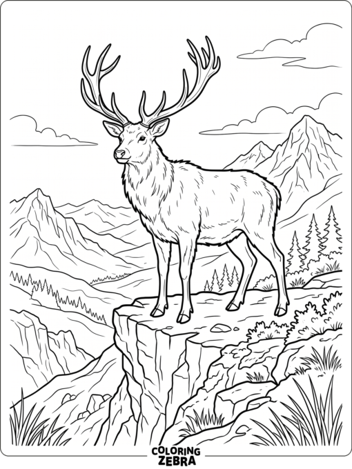 A wild buck standing on a cliff
