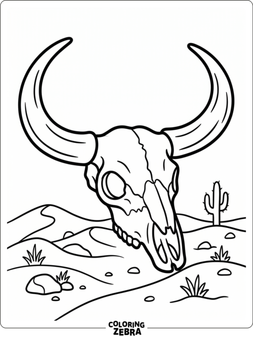 A buffalo skull with curved horns on simple desert ground