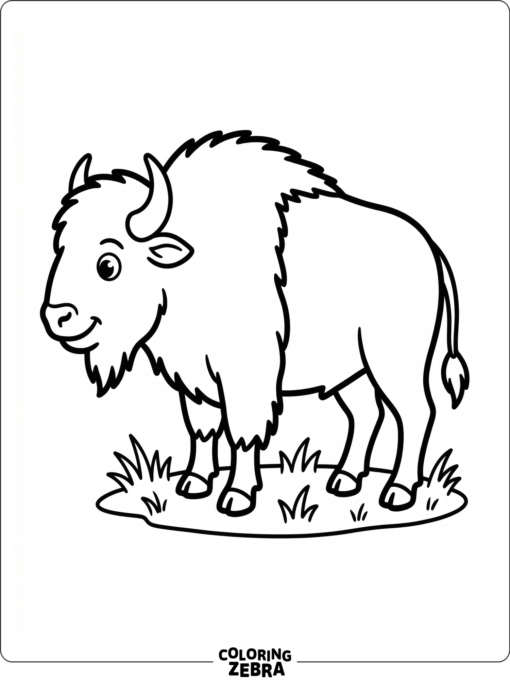 An easy buffalo with a simple pose and one small patch of grass