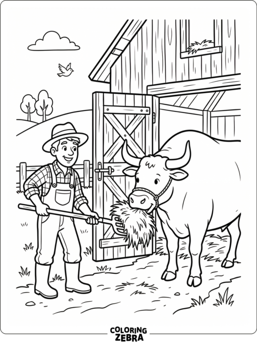 A farmer feeding hay to a bull by a barn gate