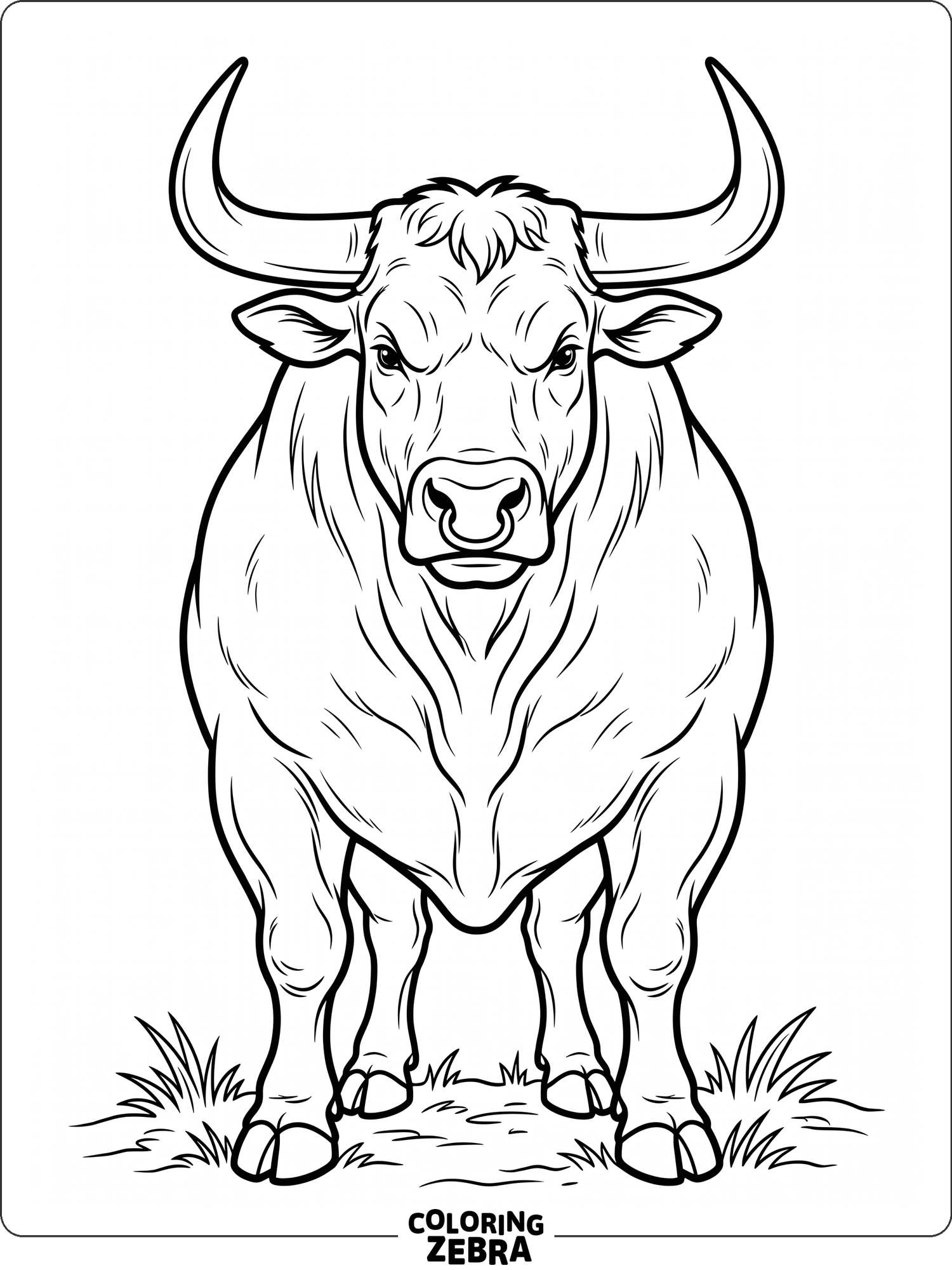 38 Free Bull Coloring Pages - Printable PDF Sheets