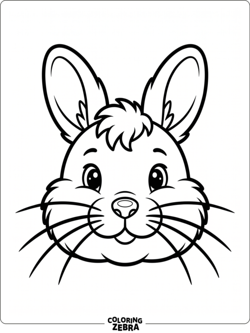 A bunny face with round cheeks and whiskers