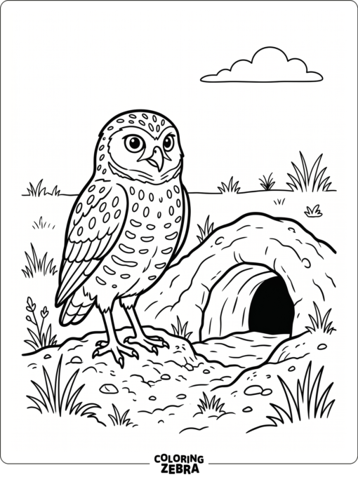 A burrowing owl near a tunnel opening