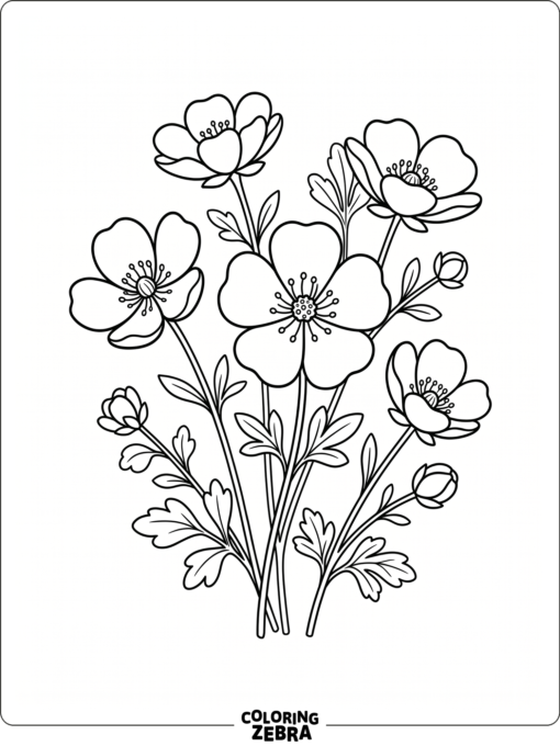 A cluster of buttercup flowers with rounded petals