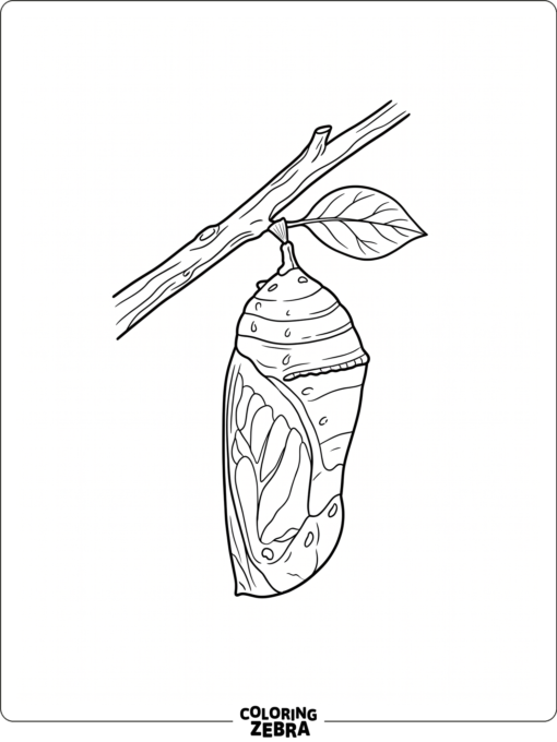 A chrysalis hanging from a plant stem