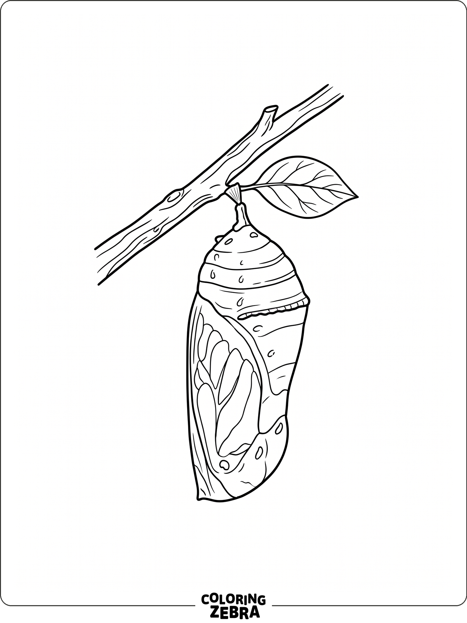 76 Free Butterfly Coloring Pages - Printable PDF Sheets