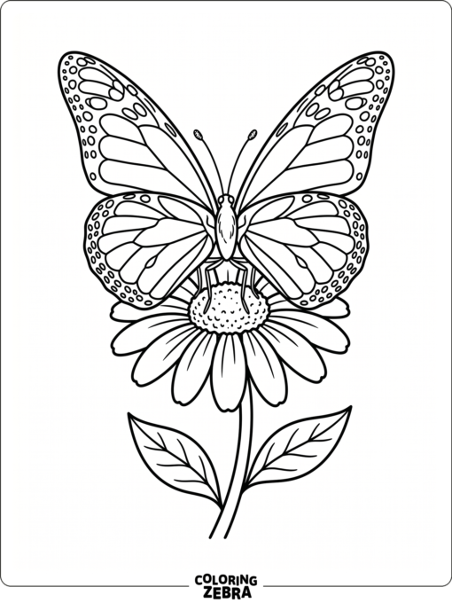 A butterfly resting on a flower