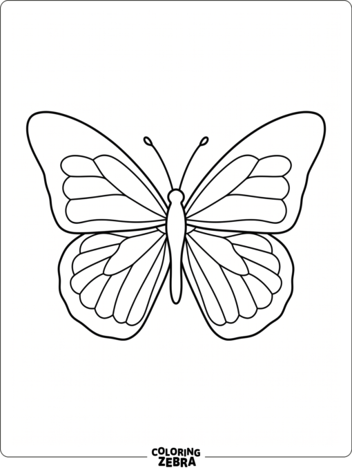 A butterfly outline with wide open wings