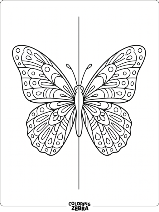 A butterfly with mirrored wings for symmetry practice