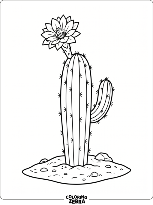 A cactus with a blooming flower