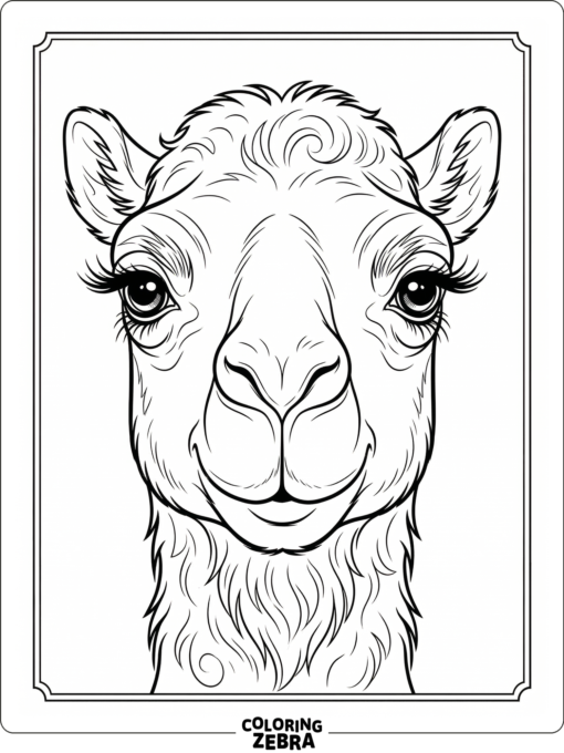 A close-up camel face with long eyelashes and a calm look