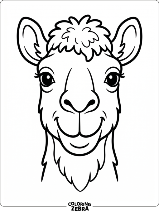 A front view camel head with ears and a curved muzzle