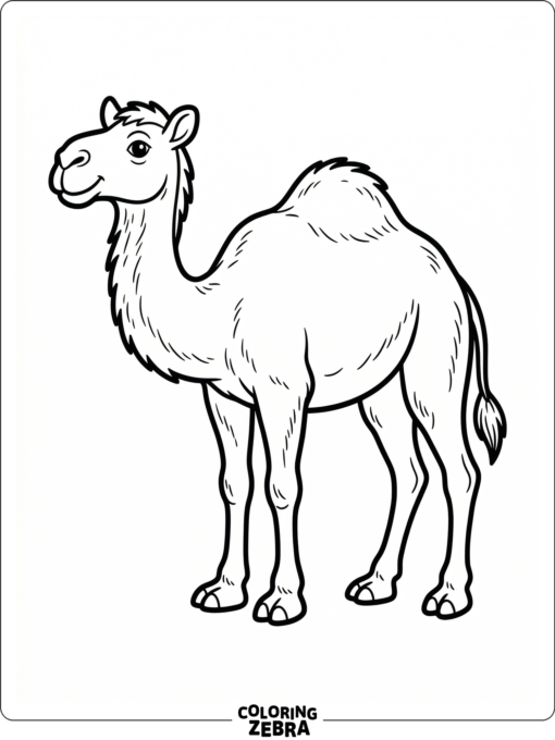 A bold camel outline with no background details