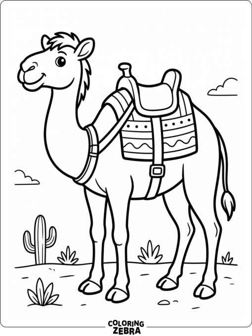 A camel wearing a saddle with straps and a blanket