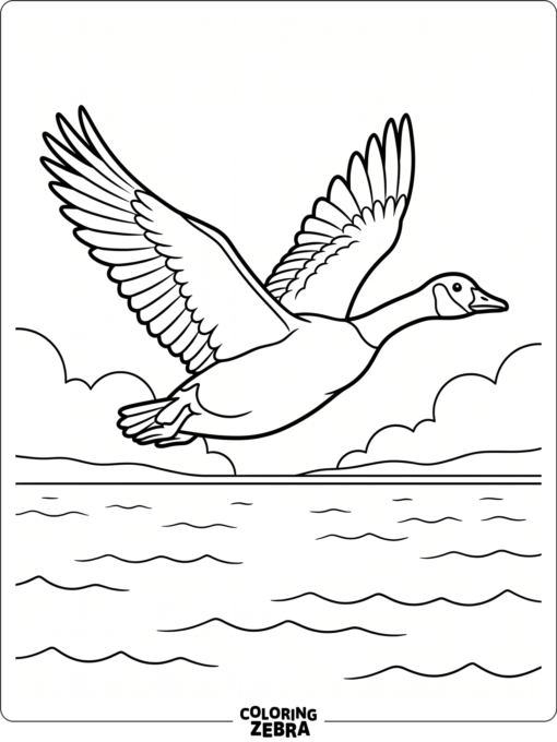 A Canadian goose flying over the water